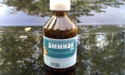 Водный раствор аммиака