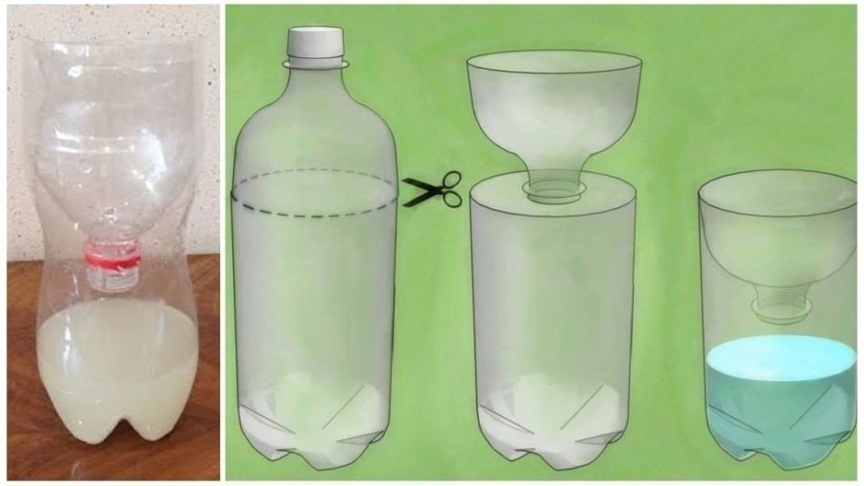 Ловушка для тараканов из пластиковой бутылки