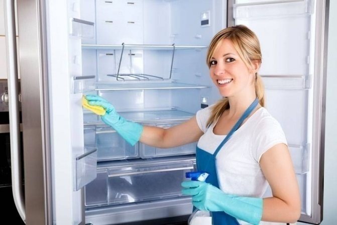День очистки холодильника