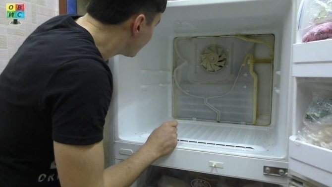 Задняя стенка холодильника ноу фрост