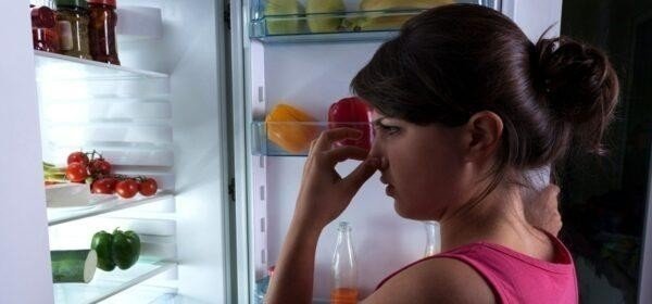 Поглотитель запаха для холодильника