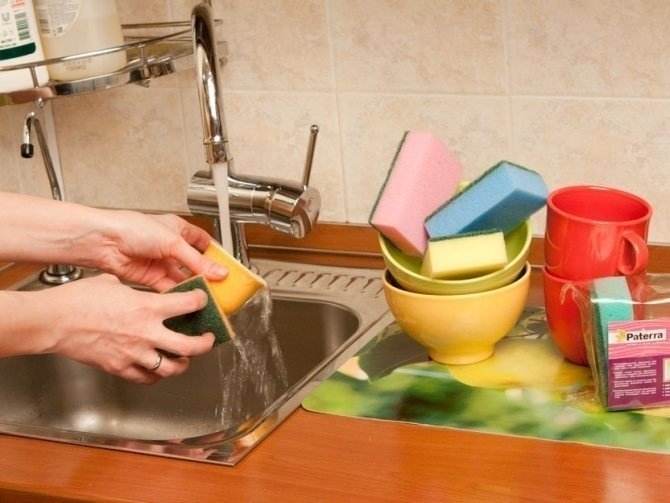 Вместо губки используют для мытья посуды