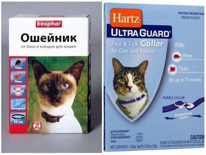 Hartz ошейник от блох и клещей ultra guard plus для кошек и котят