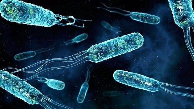 Движение бактерий микробиология