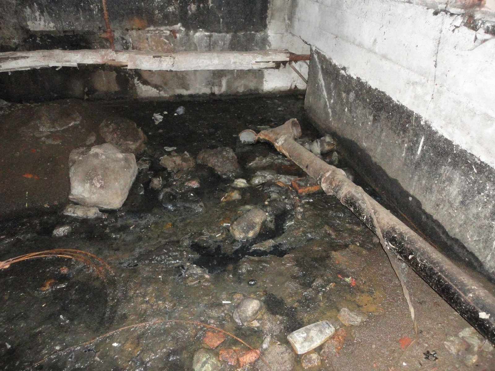 Подтопление канализации в подвале