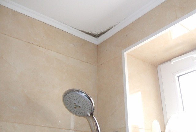 Потолок в ванной из гипсокартона