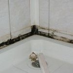 Как очистить швы плитки от плесени в ванной